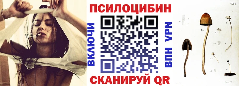Псилоцибиновые грибы прущие грибы  Кирс 